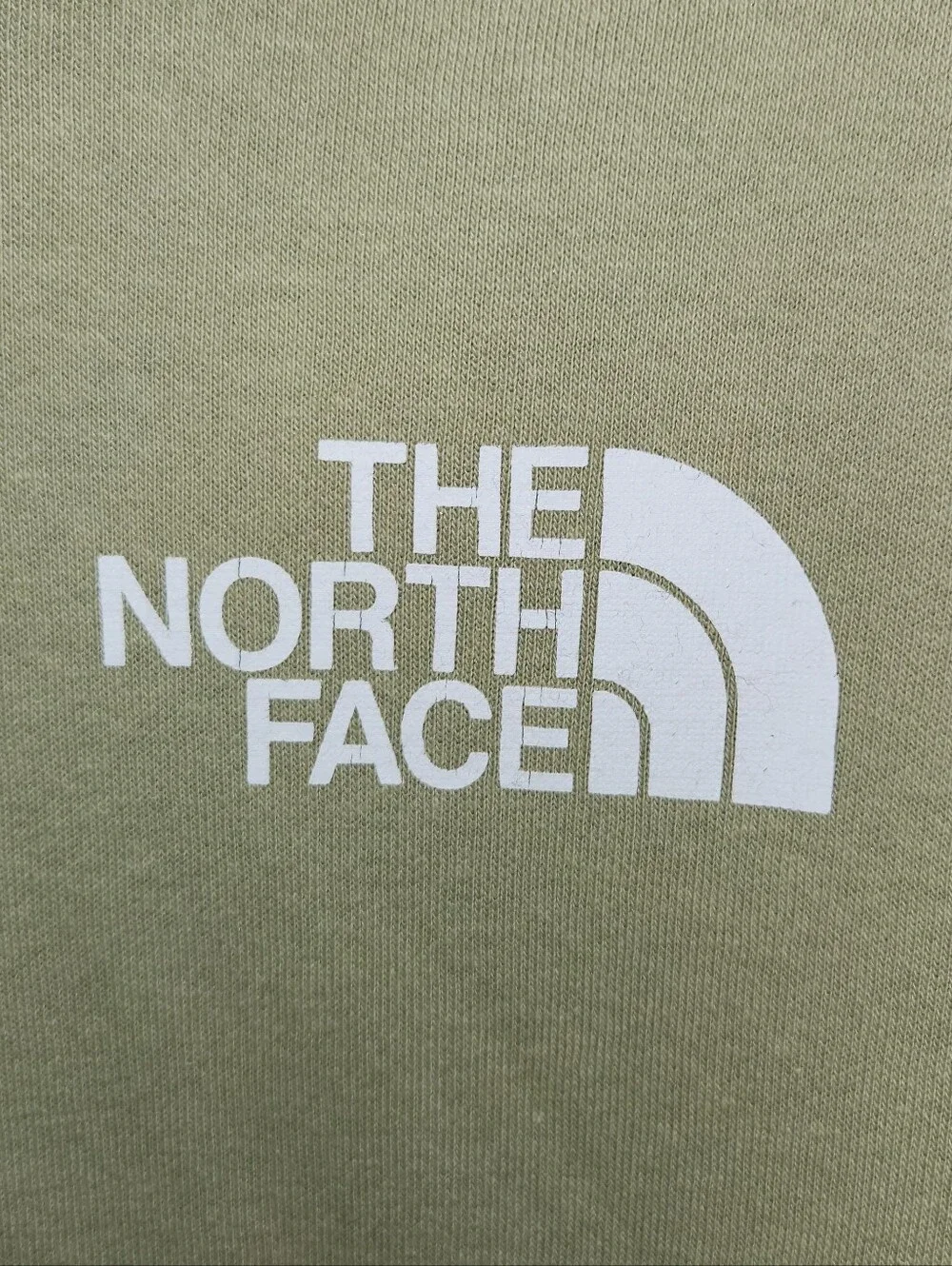 The North Face north face